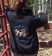 Merchandise