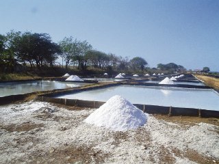 Rollos Plásticos Negros Salineros con protección UV