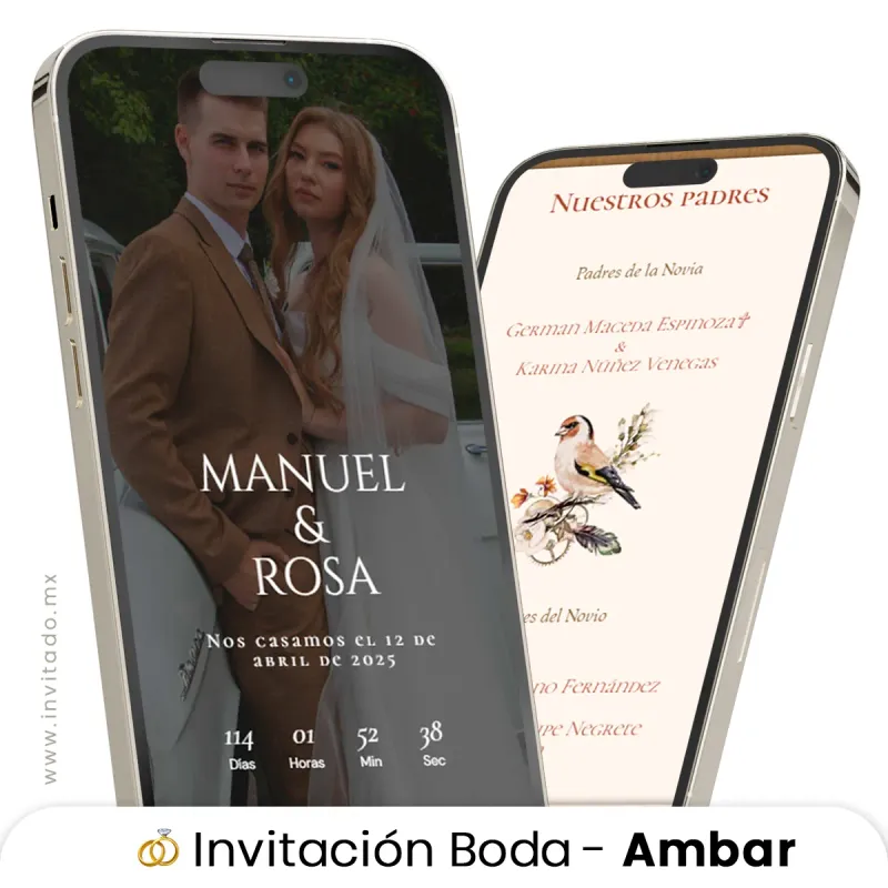 Ambar - Boda
