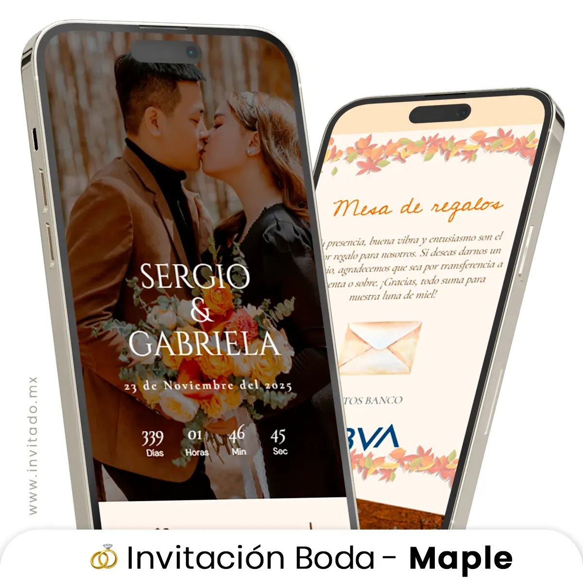 Maple - Boda