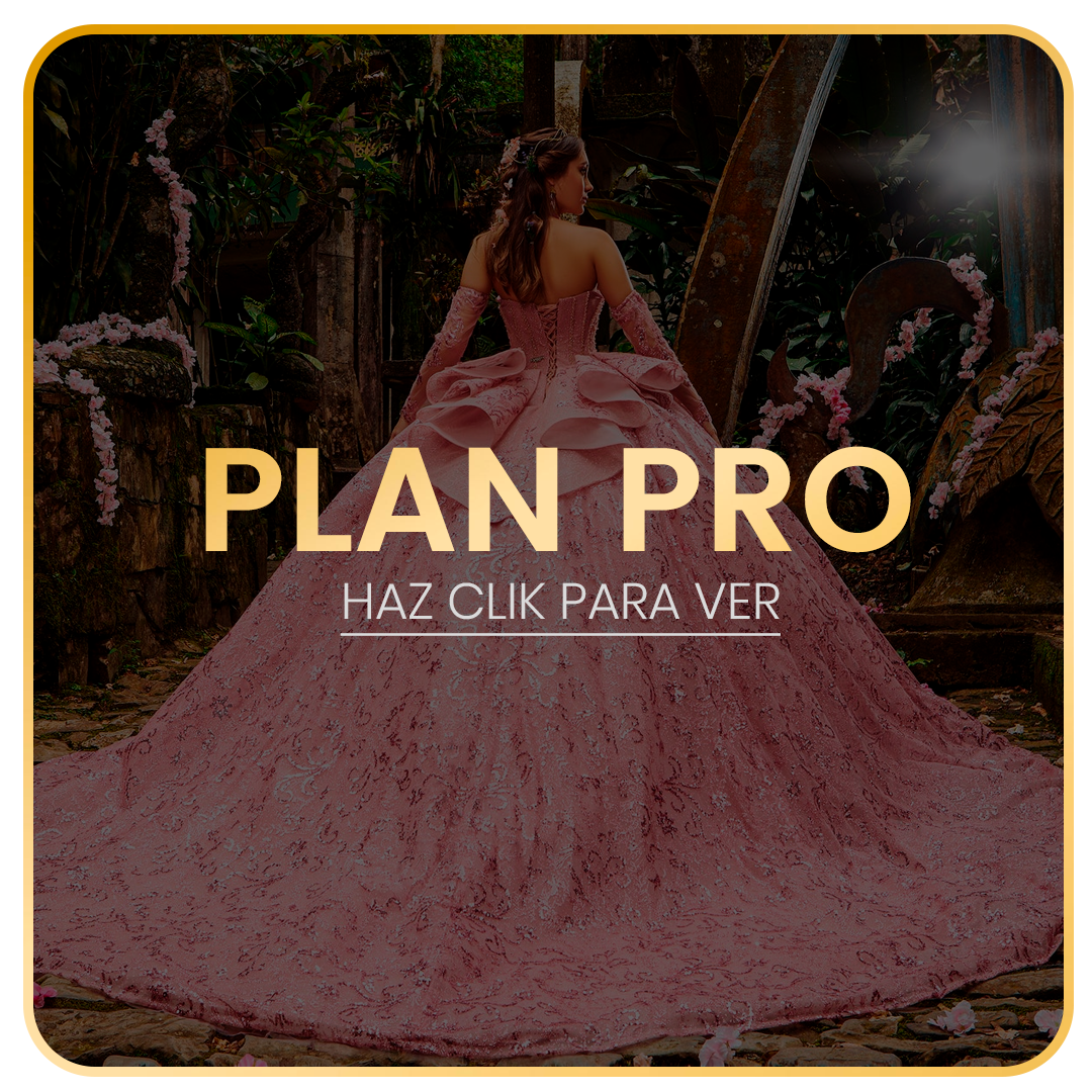 Plan Pro - Xv años