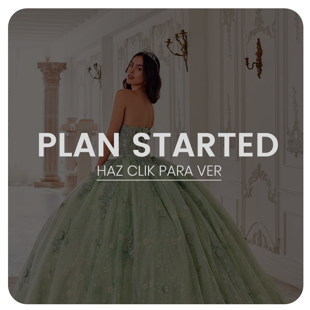 Plan Started- Xv años
