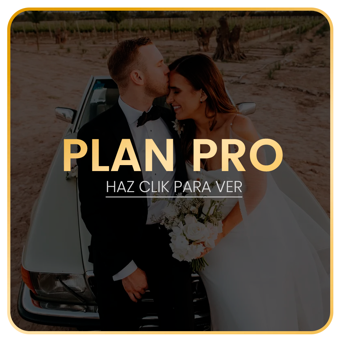 Plan Pro - Boda