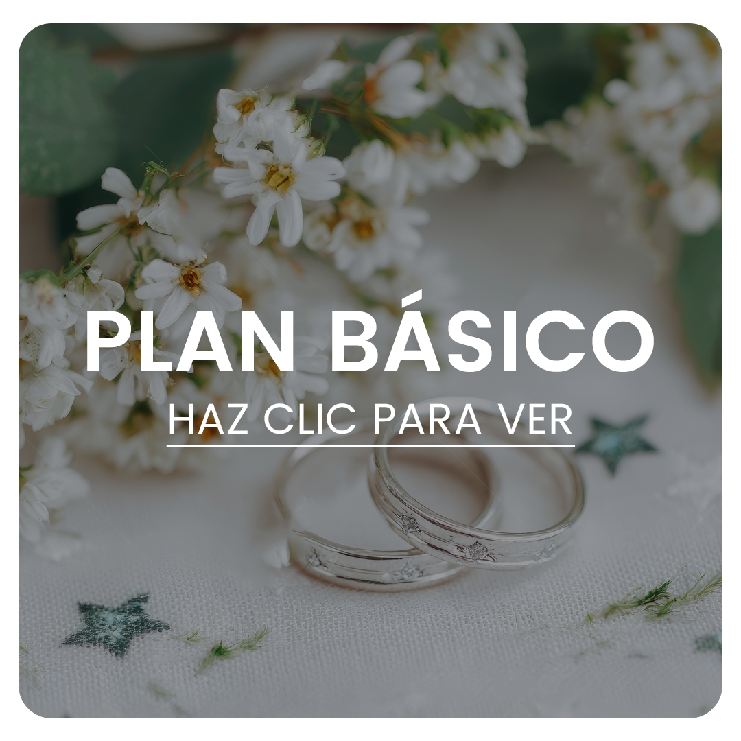 Plan Básico - Boda