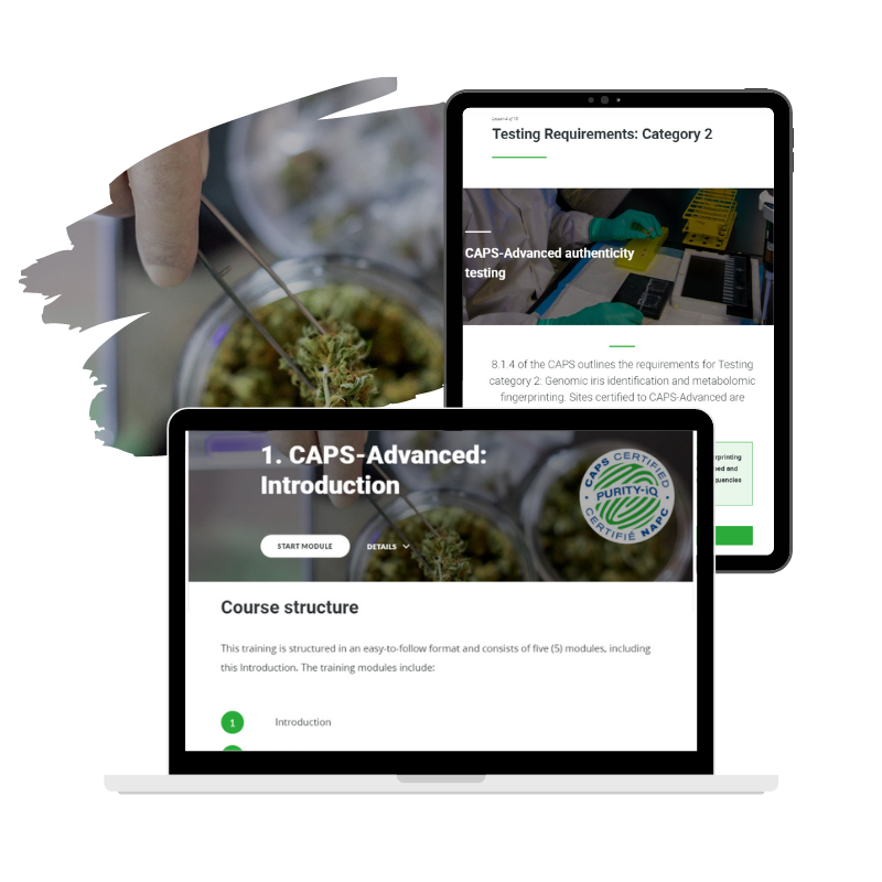 Norme d'authenticité et de pureté du cannabis – CAPS (Problème 1.1) - Formation avancée en ligne