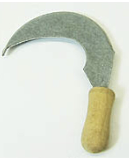 Sichel