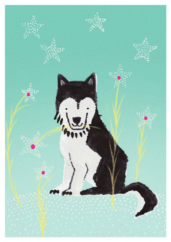 Postkarte Husky