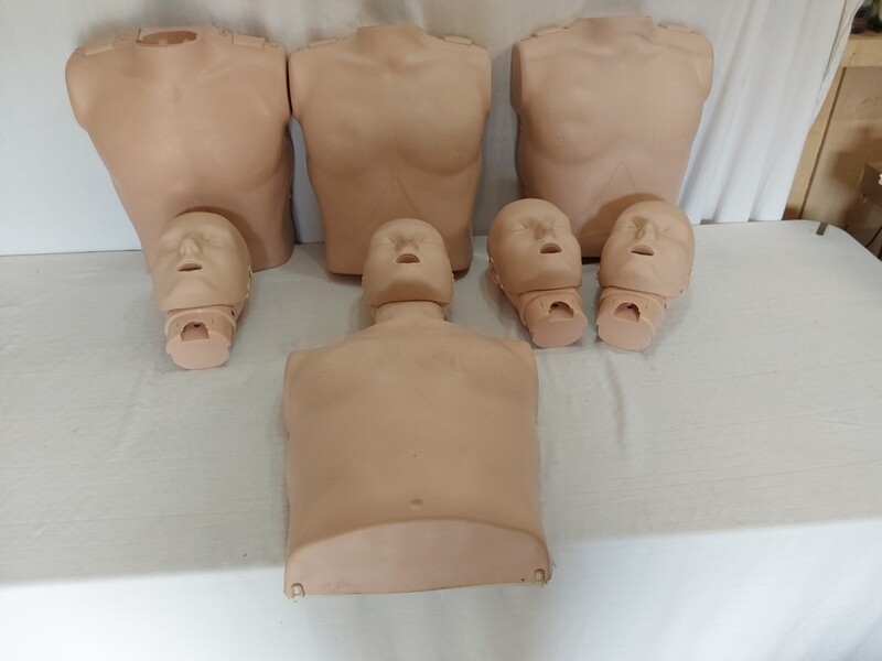 Preston adult manikins