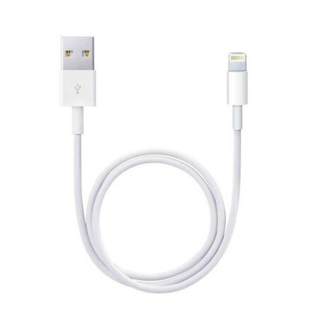 iPhone Charger