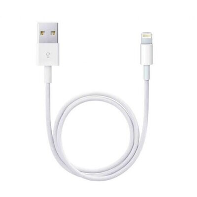 iPhone Charger