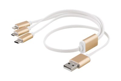 Multi Charge Cable