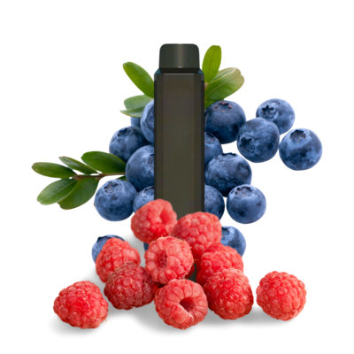 4000 Puffs - Blueberry Raspberry Vape