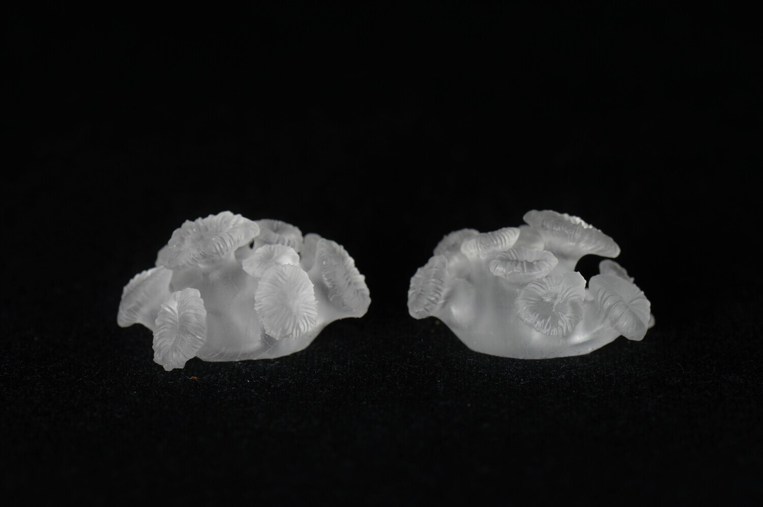 Coral Inclusions for Dice