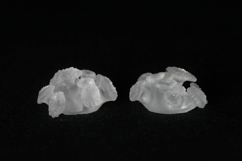 Coral Inclusions for Dice