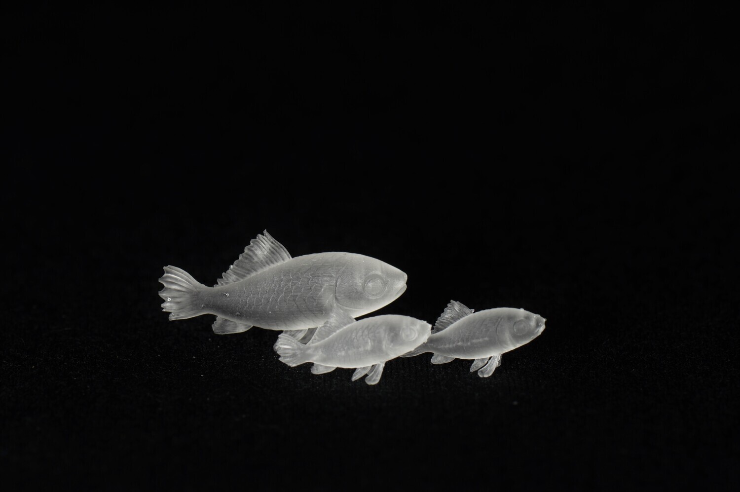Fish Inclusions for Dice