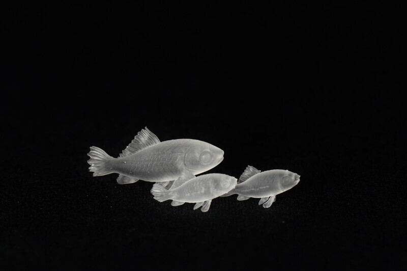 Fish Inclusions for Dice