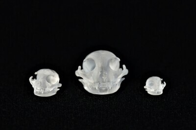 Cat Skull Inclusions for Dice