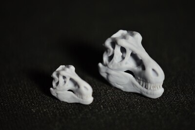 T-REX Skull Inclusions for Dice