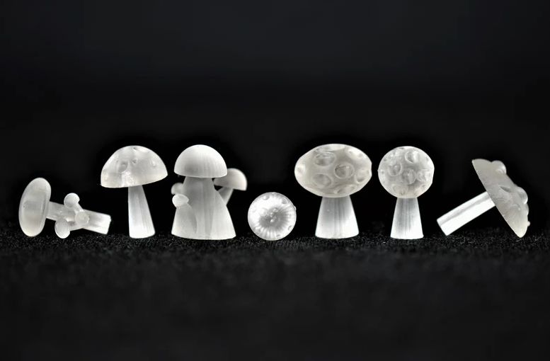 Mushroom Inclusions for Dice