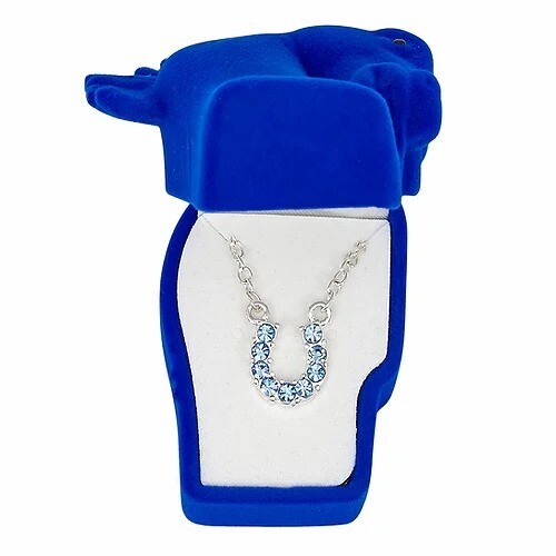 Blue Horseshoe Necklace