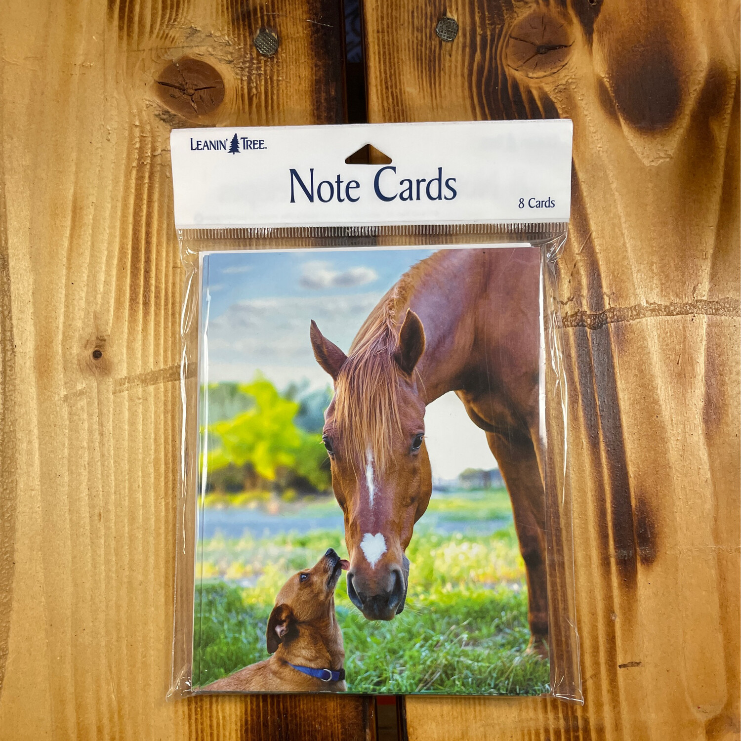 Note Cards Dog Licking Horse