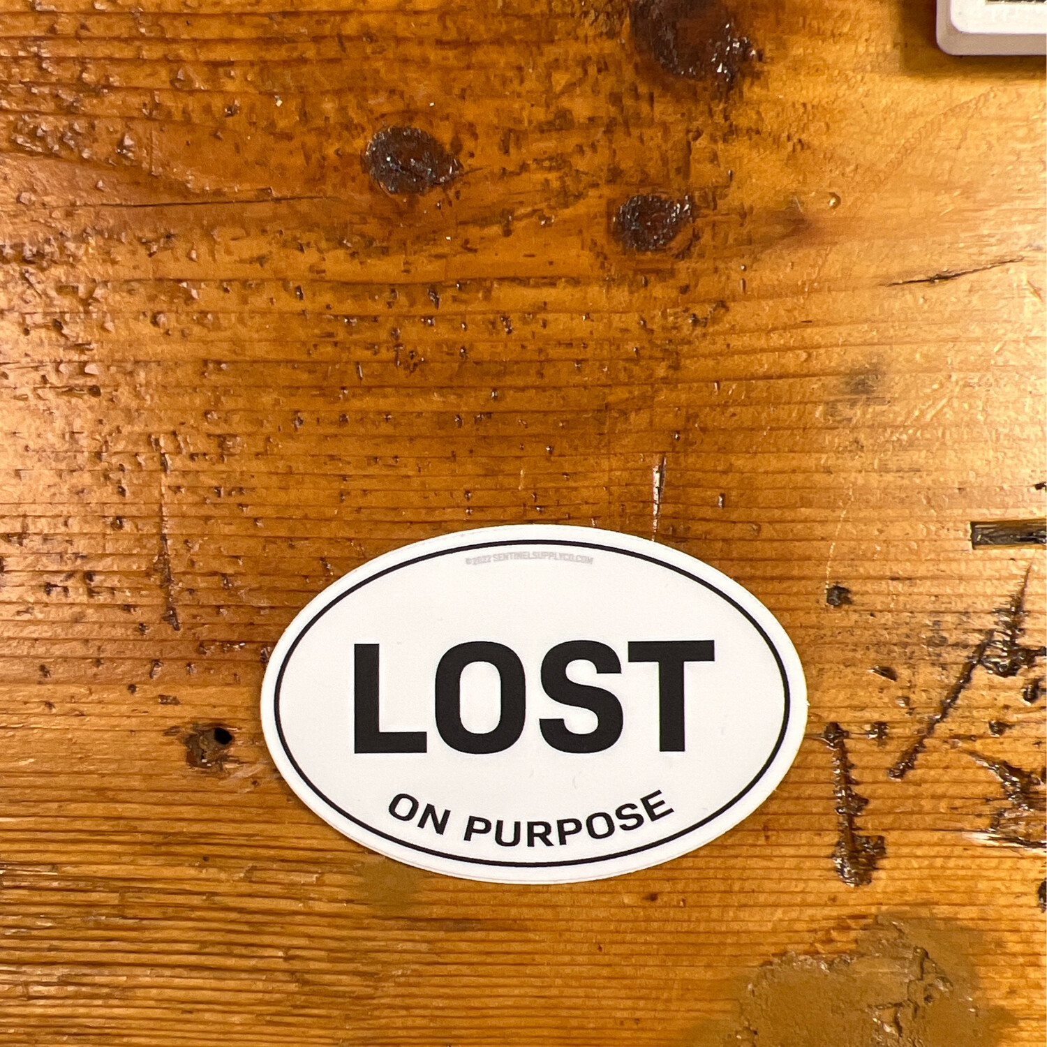 Lost Oval Sticker