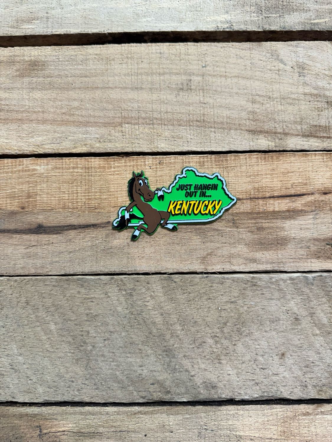 Hangin Out Magnet