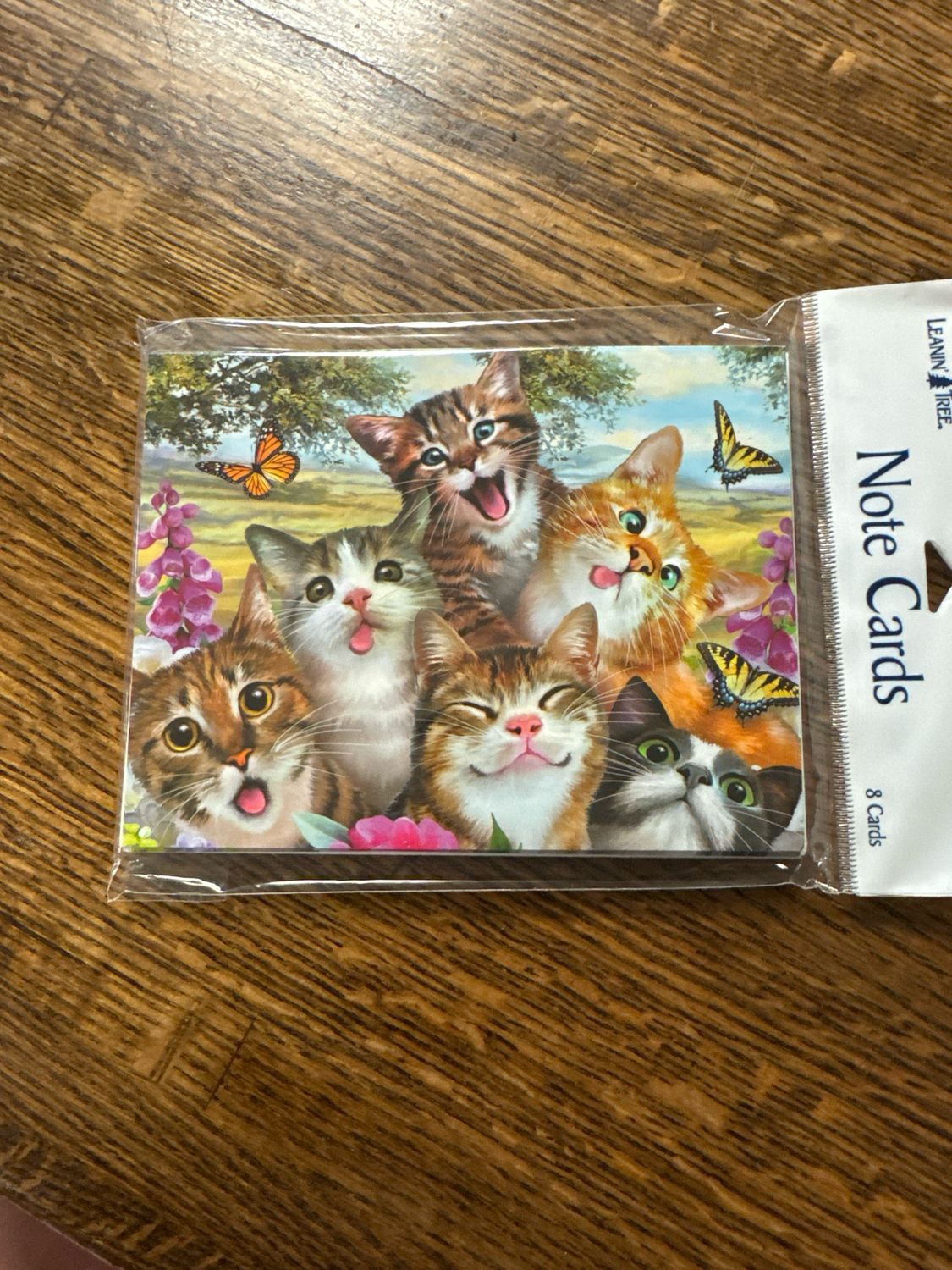 Note Cards Cats