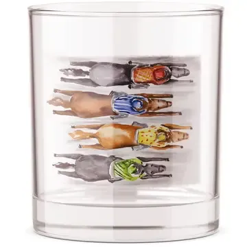 Birds Eye Racing Rocks Glass