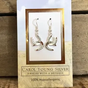 Hshoe\w Aqua Earrings Wire