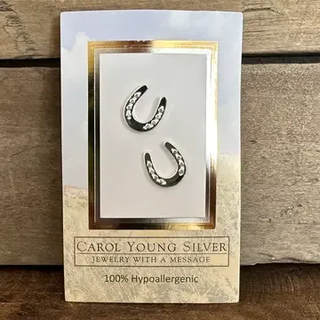 Hshoe\w Aqua Earrings Post