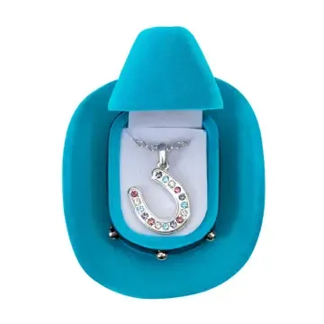 Multi Color Horseshoe Necklace Hatbox