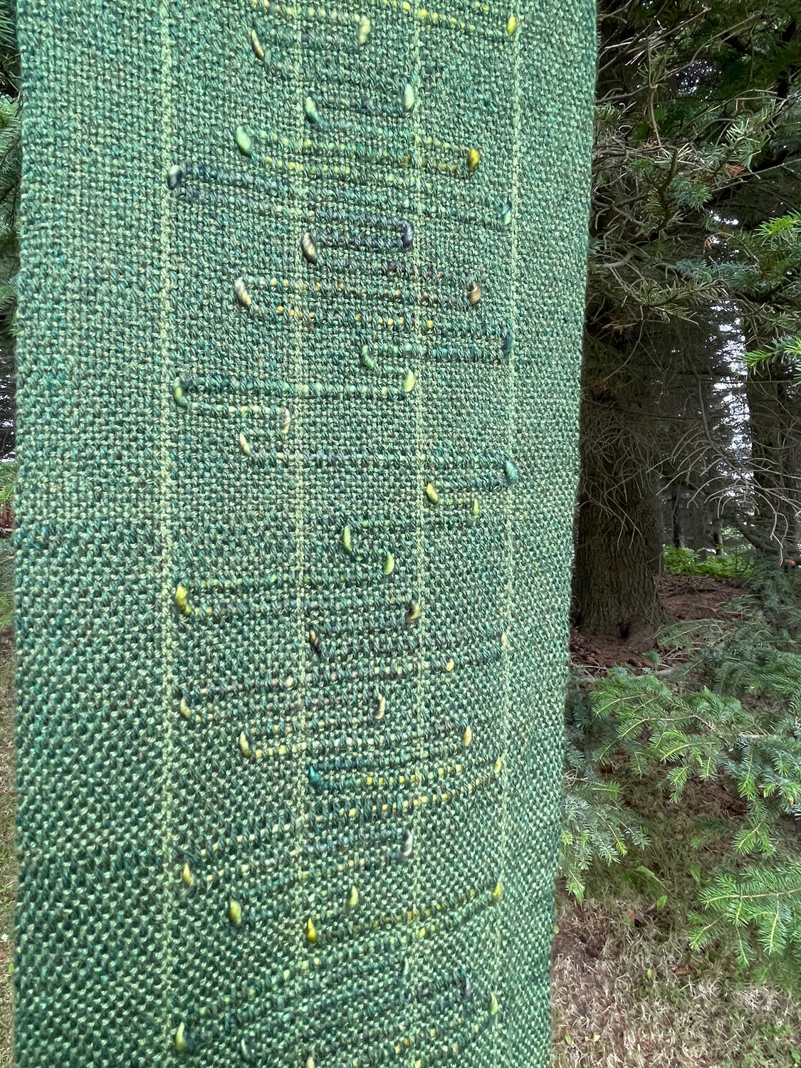 Forest Trail