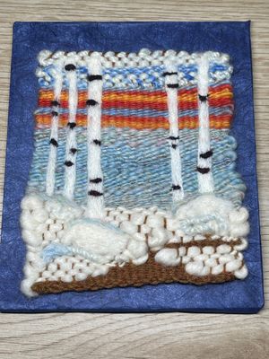 A Walk in the Woods: Winter