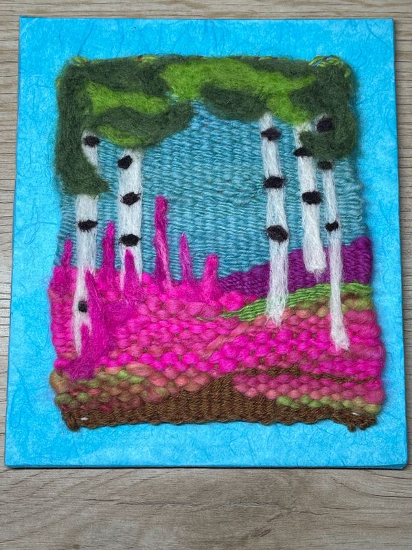 A Walk in the Woods: Summer