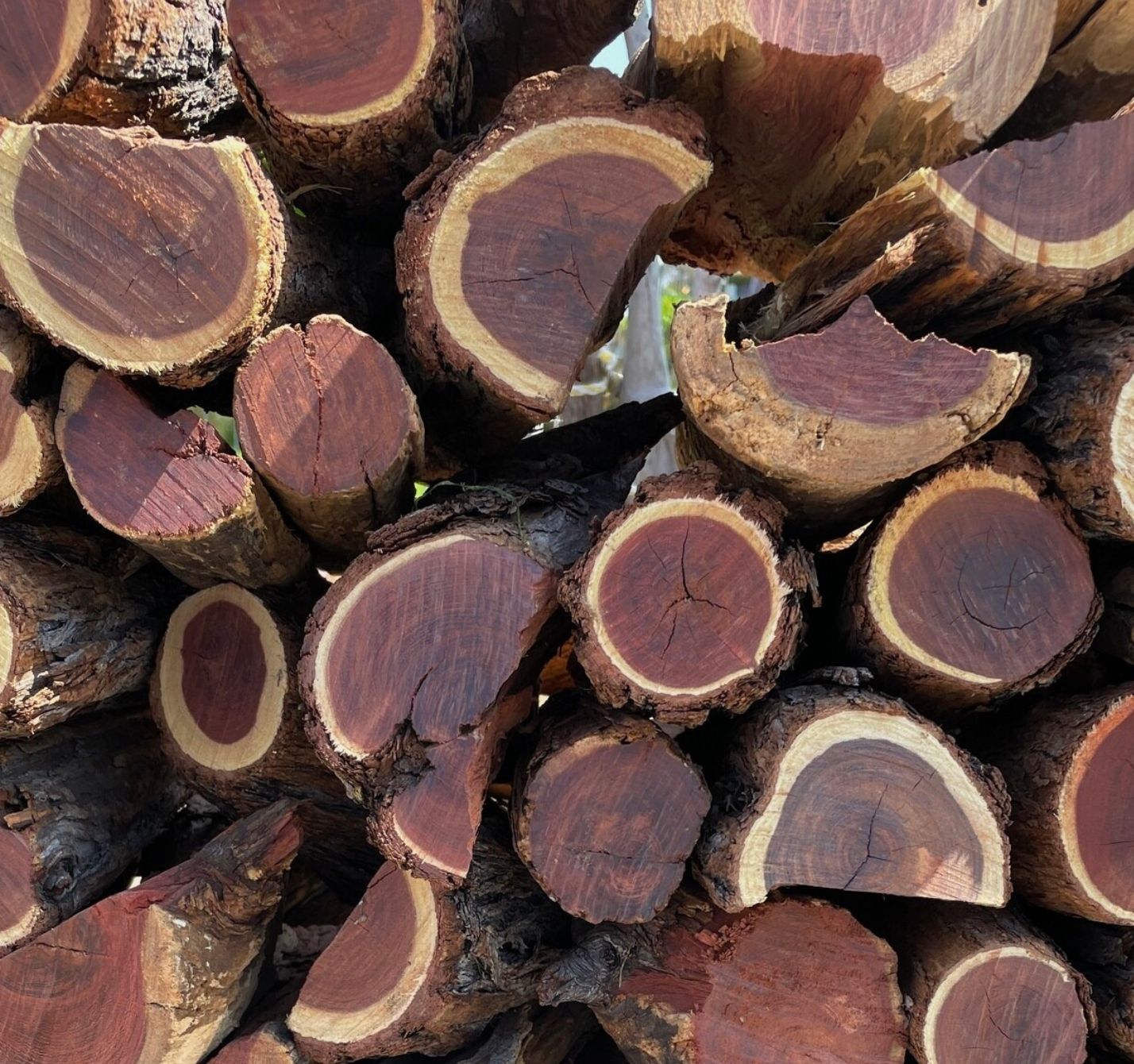 Namibian hardwood Subscription