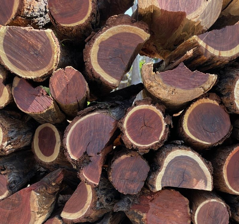 Namibian hardwood Subscription