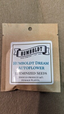 Humboldt Dream Autoflower