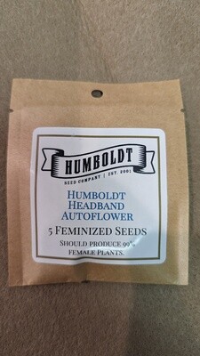 Humboldt Headband Autoflower