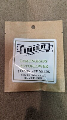 Lemongrass Autoflower