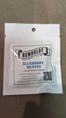 Blueberry Muffin, 3 pack