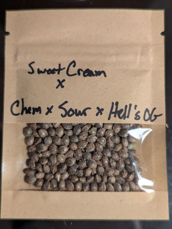 Satan&#39;s Sugar