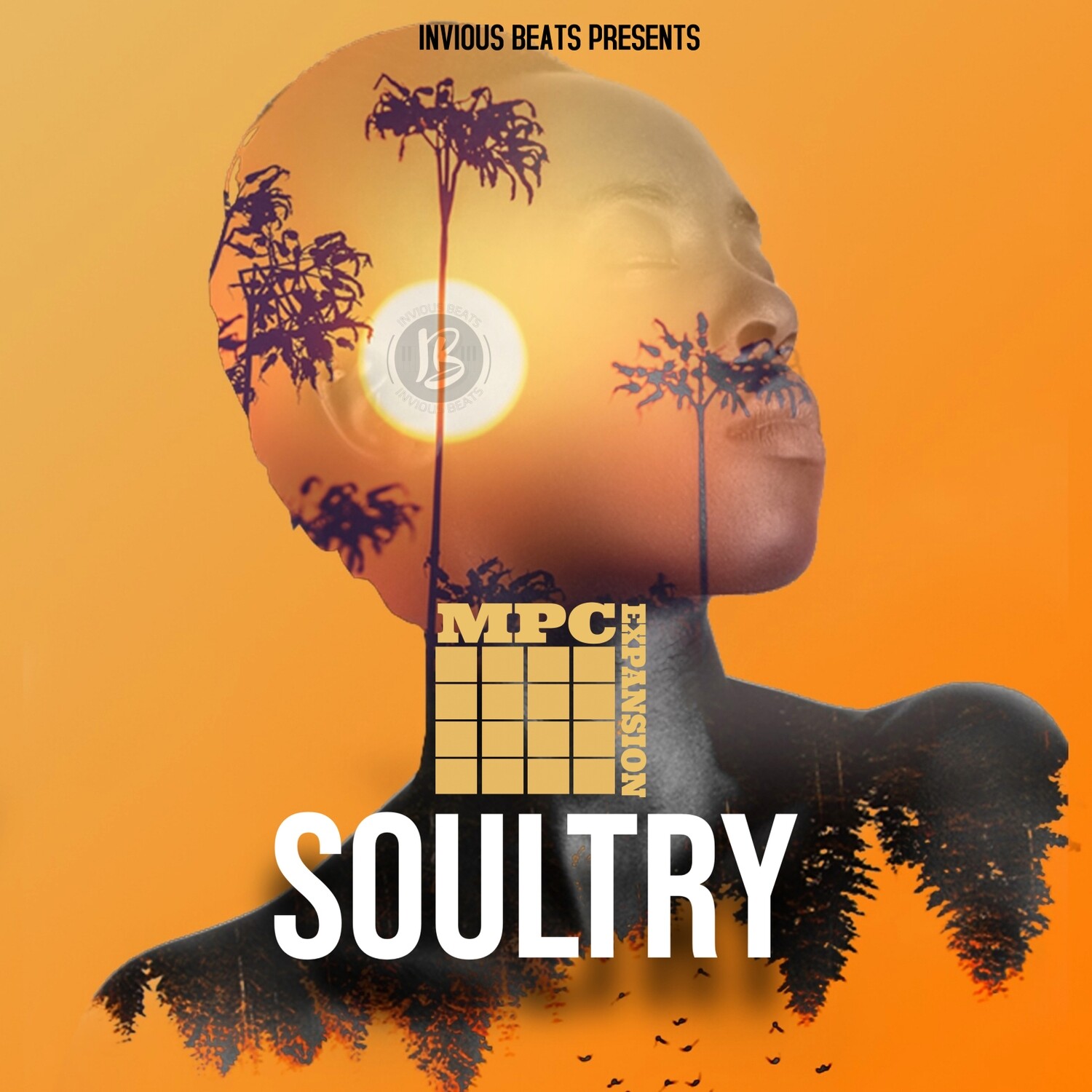 MPC EXPANSION "SOULTRY" by INVIOUS