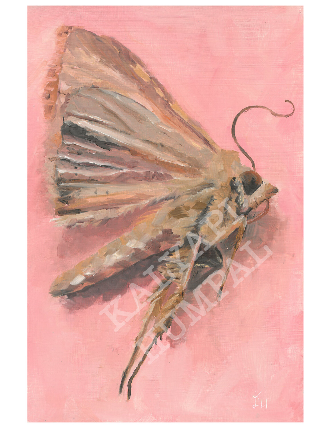 1/3 bugs prints 8&quot; by 11&quot;