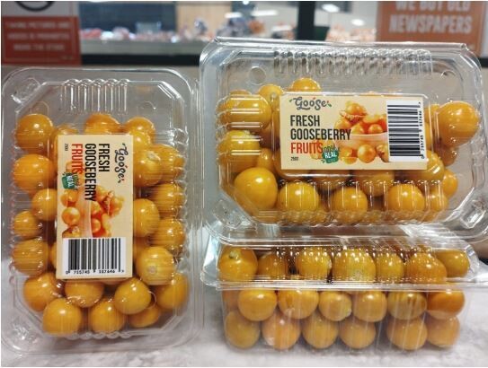 Fresh Gooseberry fruits  250 grams