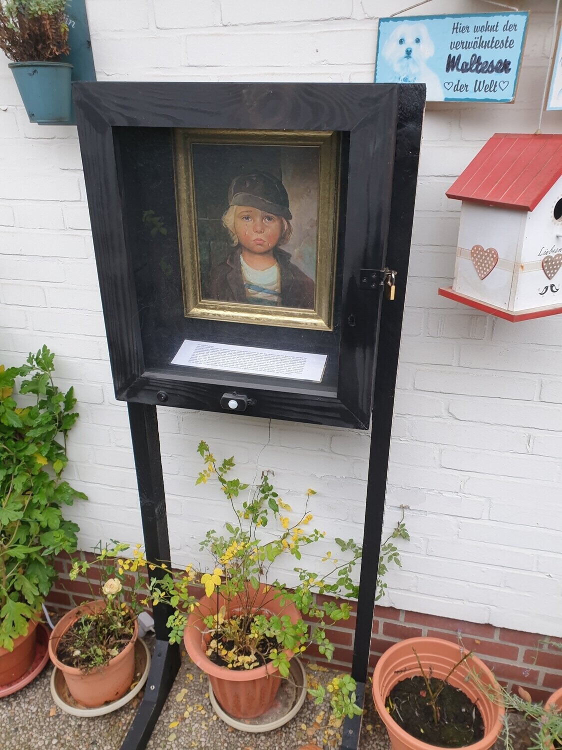 Verleih Schaukasten "weinender Junge"