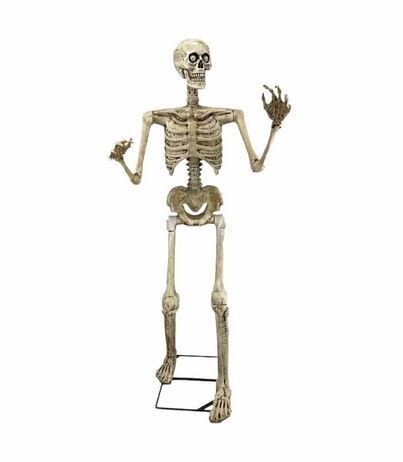 Verleih Animiertes Skelett