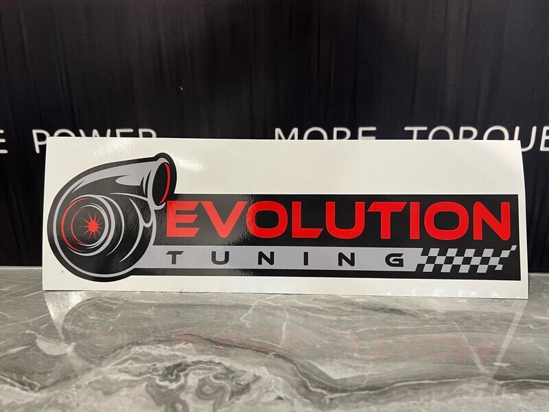 Evolution Sticker - Large