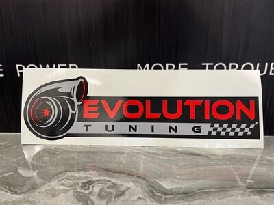 Evolution Sticker - Large