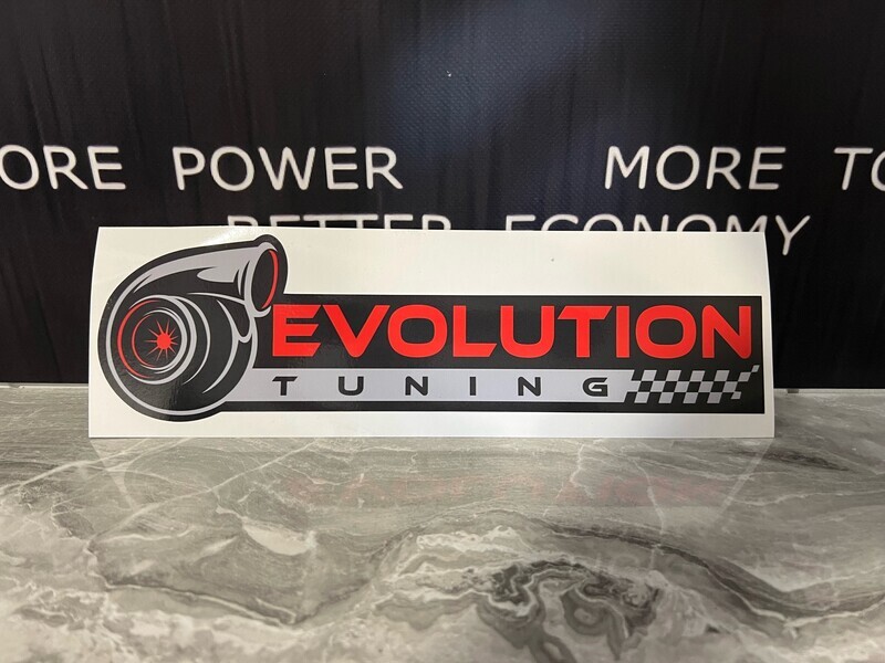 Evolution Sticker- Medium